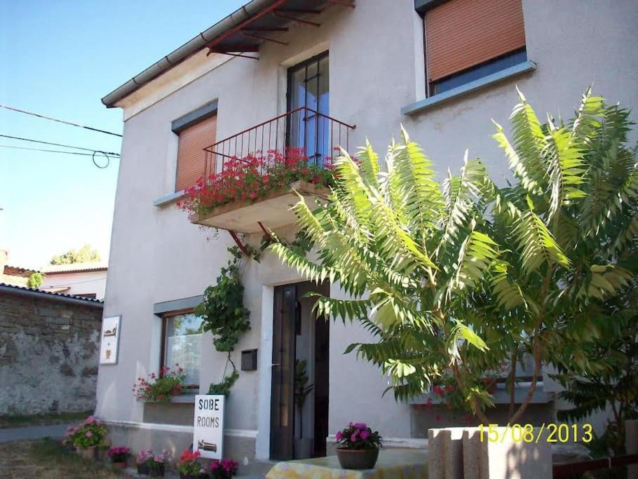 Cozy Rooms In Nature, Perfect For Relax Ilirska Bistrica ภายนอก รูปภาพ