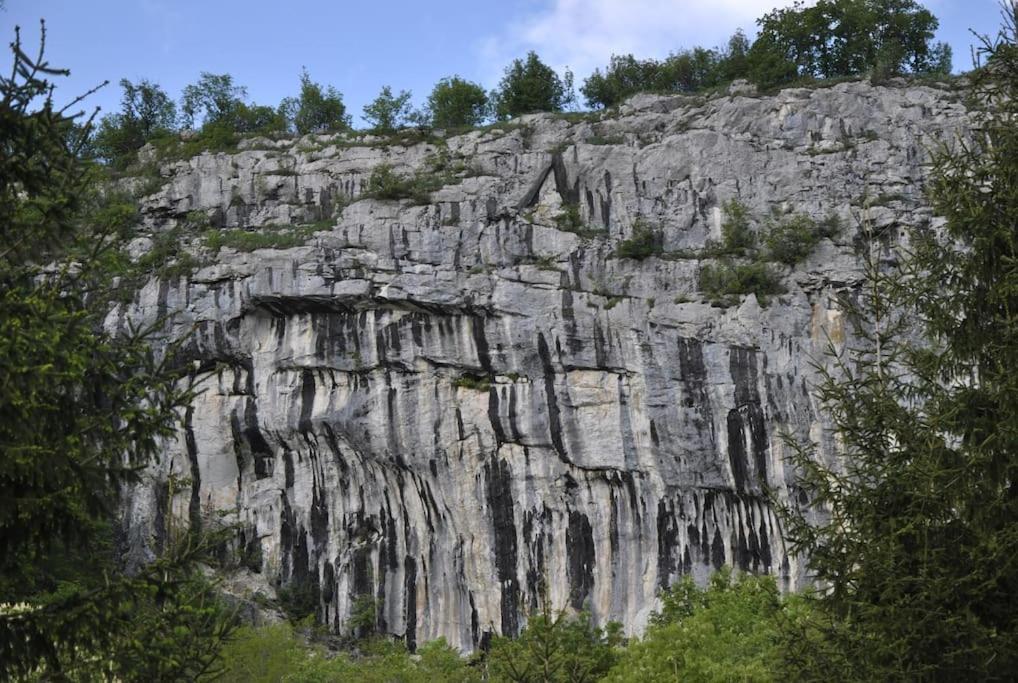 Cozy Rooms In Nature, Perfect For Relax Ilirska Bistrica ภายนอก รูปภาพ