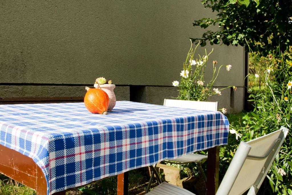 Cozy Rooms In Nature, Perfect For Relax Ilirska Bistrica ภายนอก รูปภาพ