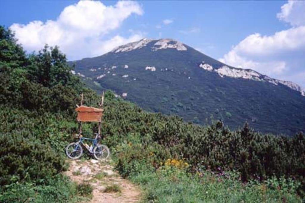 Cozy Rooms In Nature, Perfect For Relax Ilirska Bistrica ภายนอก รูปภาพ
