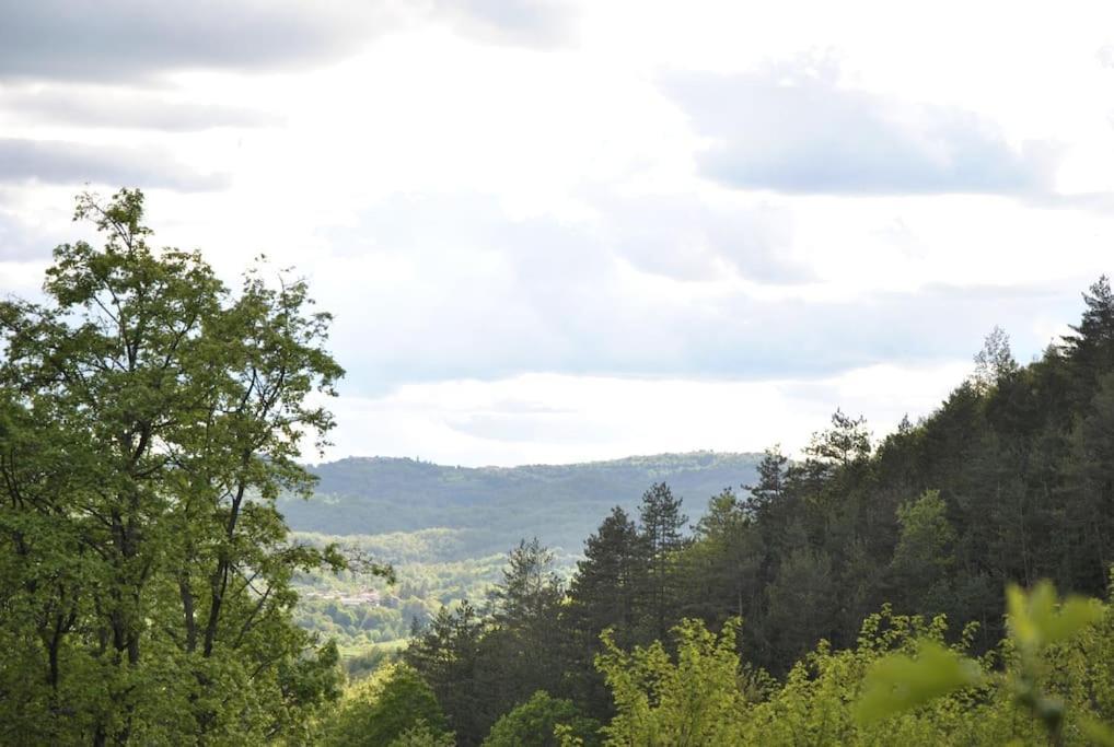 Cozy Rooms In Nature, Perfect For Relax Ilirska Bistrica ภายนอก รูปภาพ